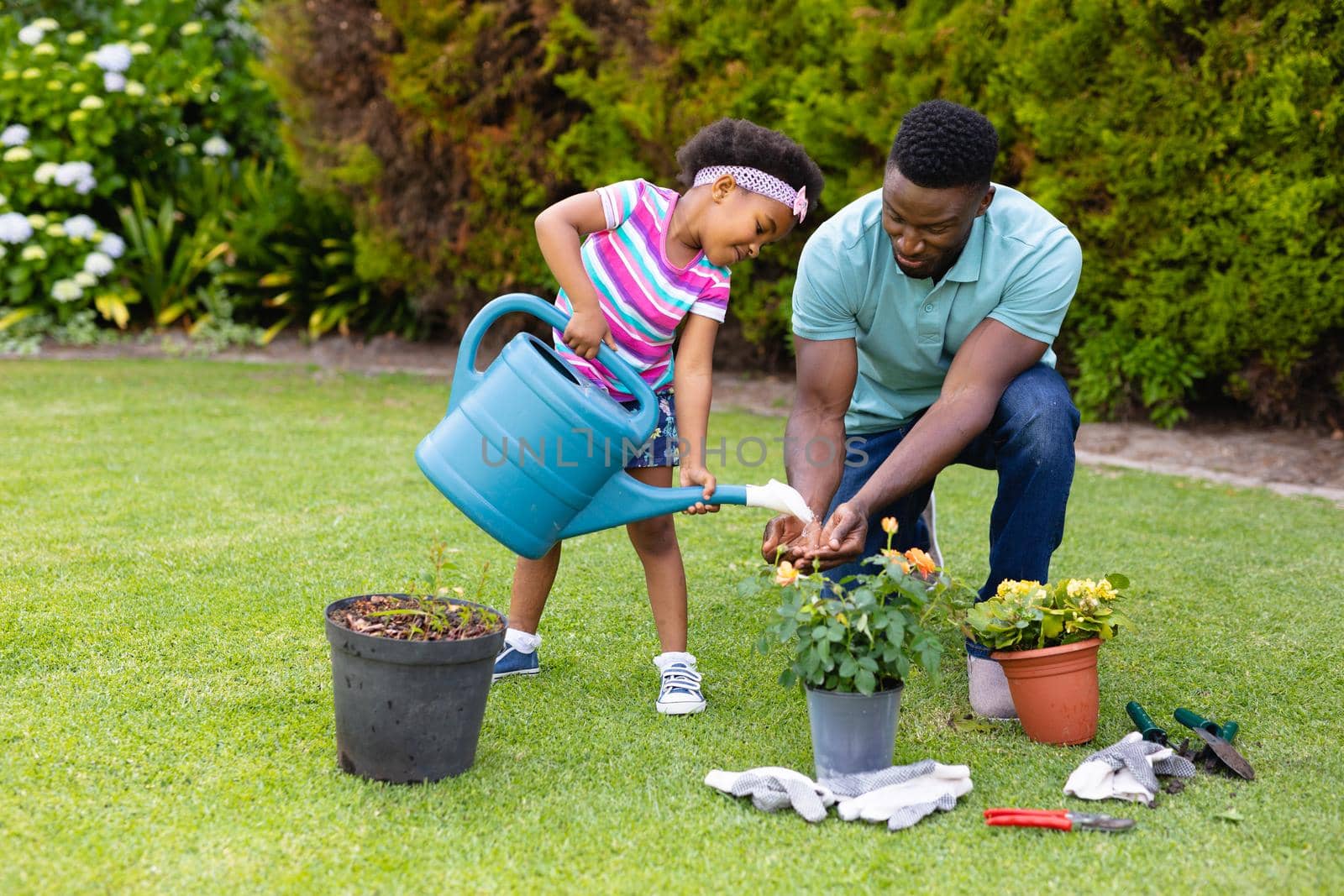 African american girl and mid adult father with watering can gardening in backyard. unaltered, family, flowering plants, childhood, nature and gardening.
