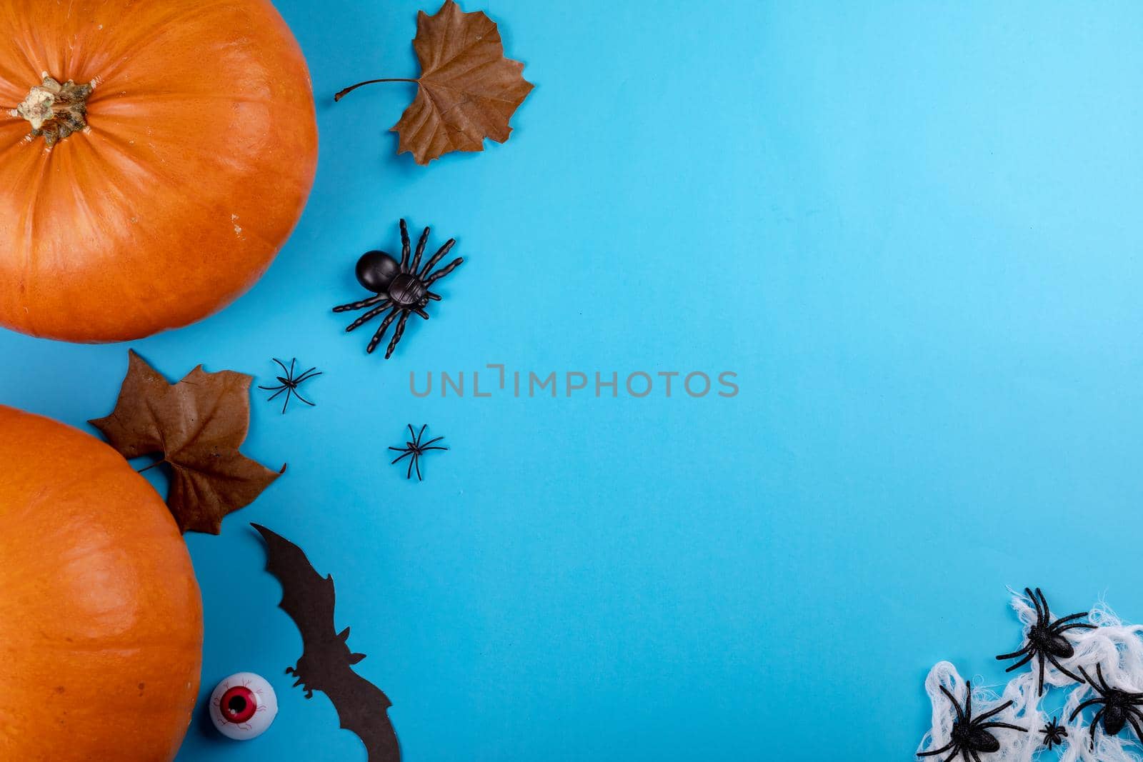 Composition of halloween decoration with pumpkin, bats, spiders and copy space on blue background. halloween tradition and celebration concept digitally generated image.