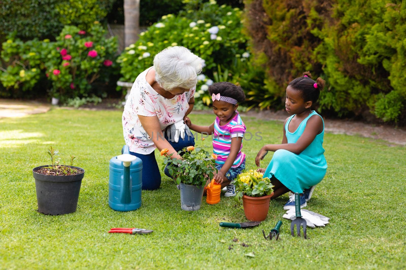African american grandmother gardening with granddaughters kneeling by plants in backyard by Wavebreakmedia