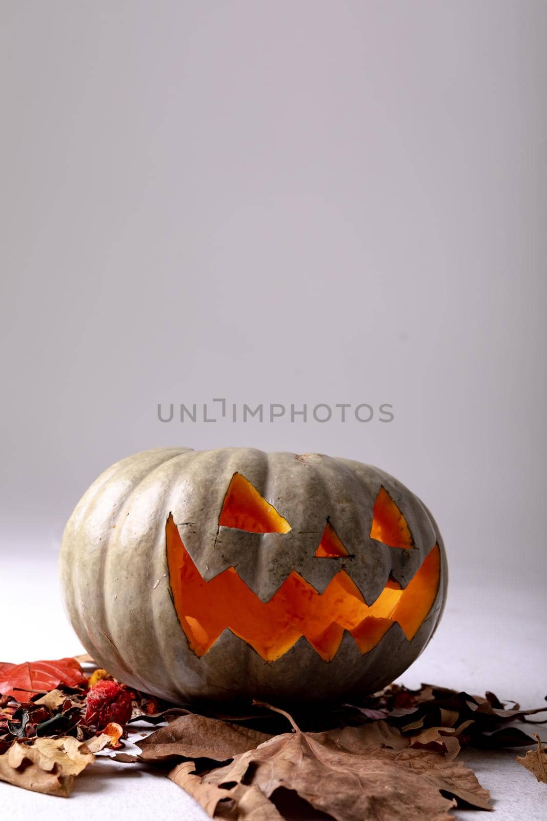 Composition of halloween jack o lantern, leaves and copy space on grey background by Wavebreakmedia