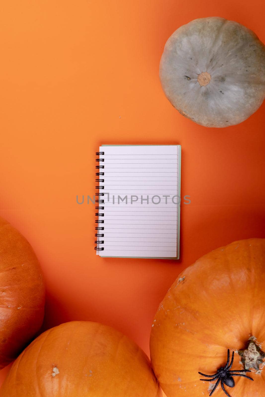 Composition of halloween decoration with pumpkins and notebook with copy space on orange background. horror, fright, halloween tradition and celebration concept digitally generated image.