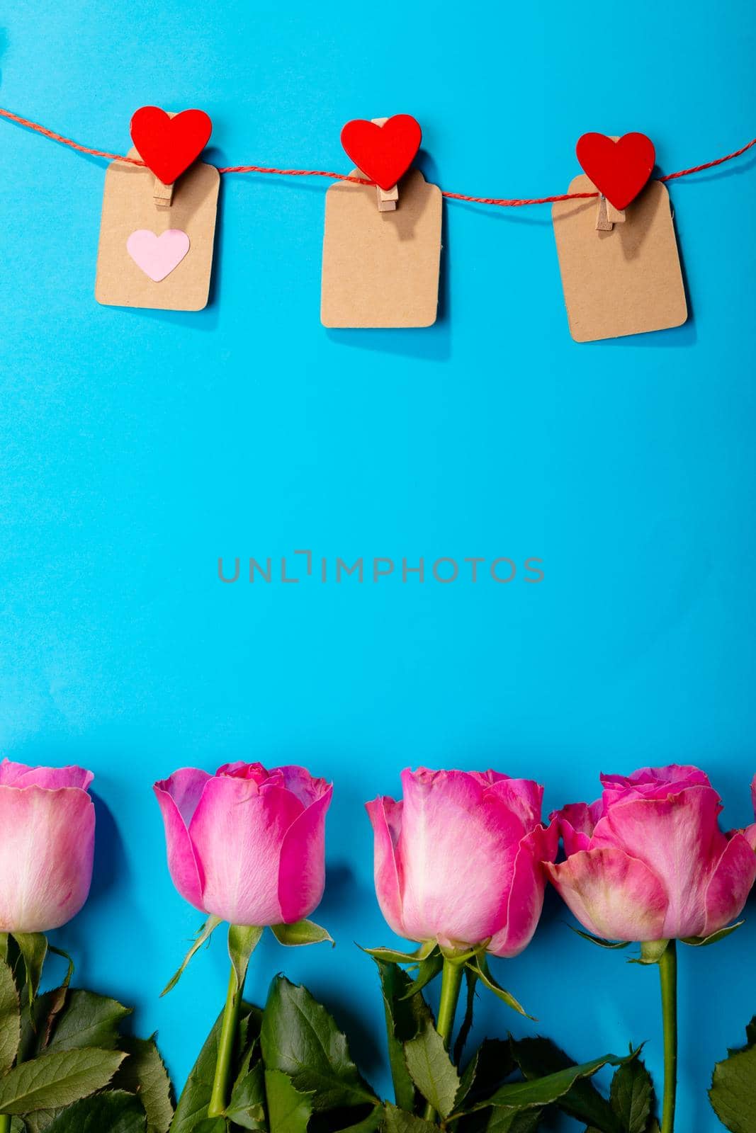 Red heart shapes on clothespins hanging from clothesline over pink roses against blue background. love and valentine decoration with copy space.