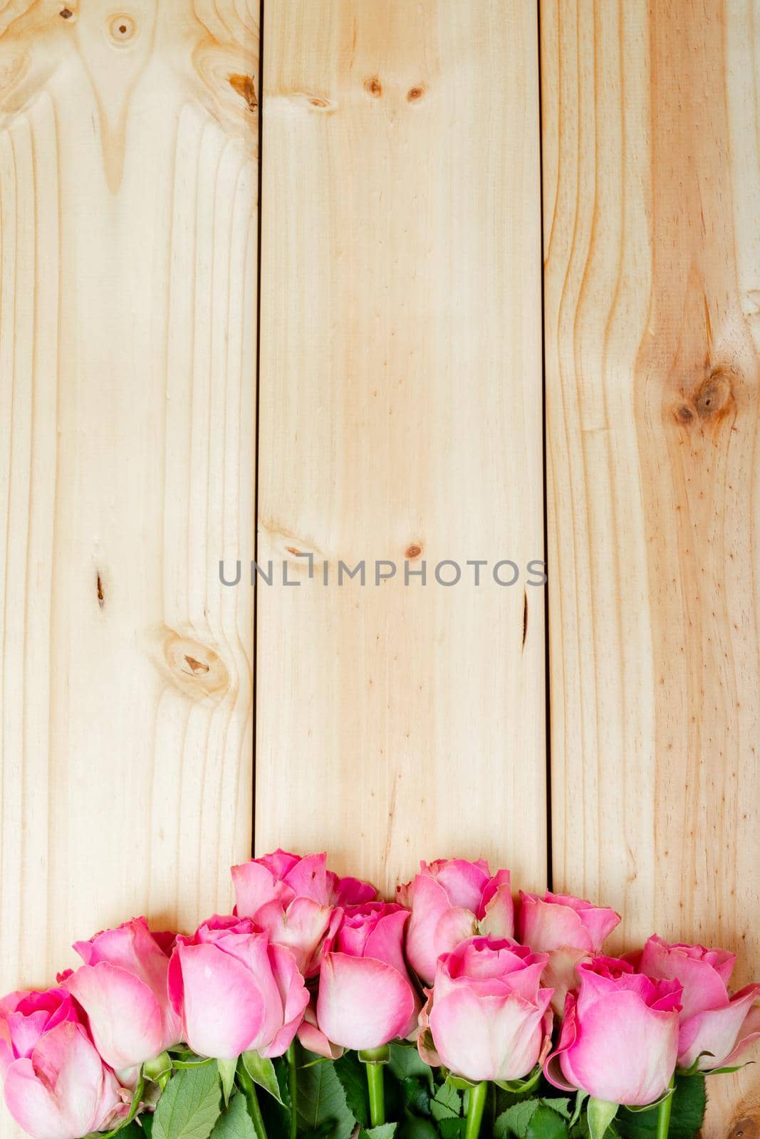 Overhead view of fresh pink roses on wooden table, copy space. valentine's day and flowers.