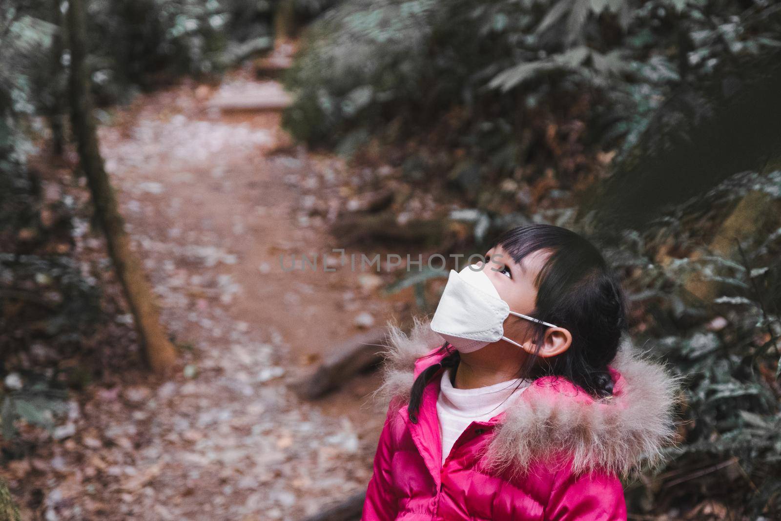 Cute little girl with backpacks hiking in nature with family. child looking up on tree. Preschoolers in winter clothes explore the forest, play and learn in nature.