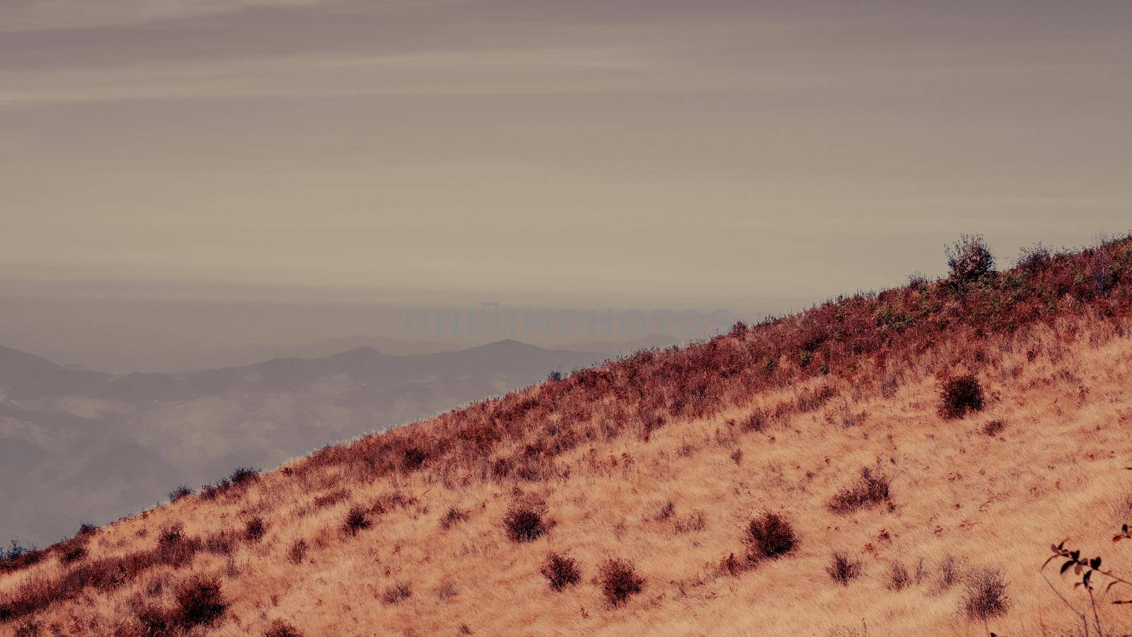 Mountain without trees from the agricultural industry in the north of Thailand. arid meadow on the mountain