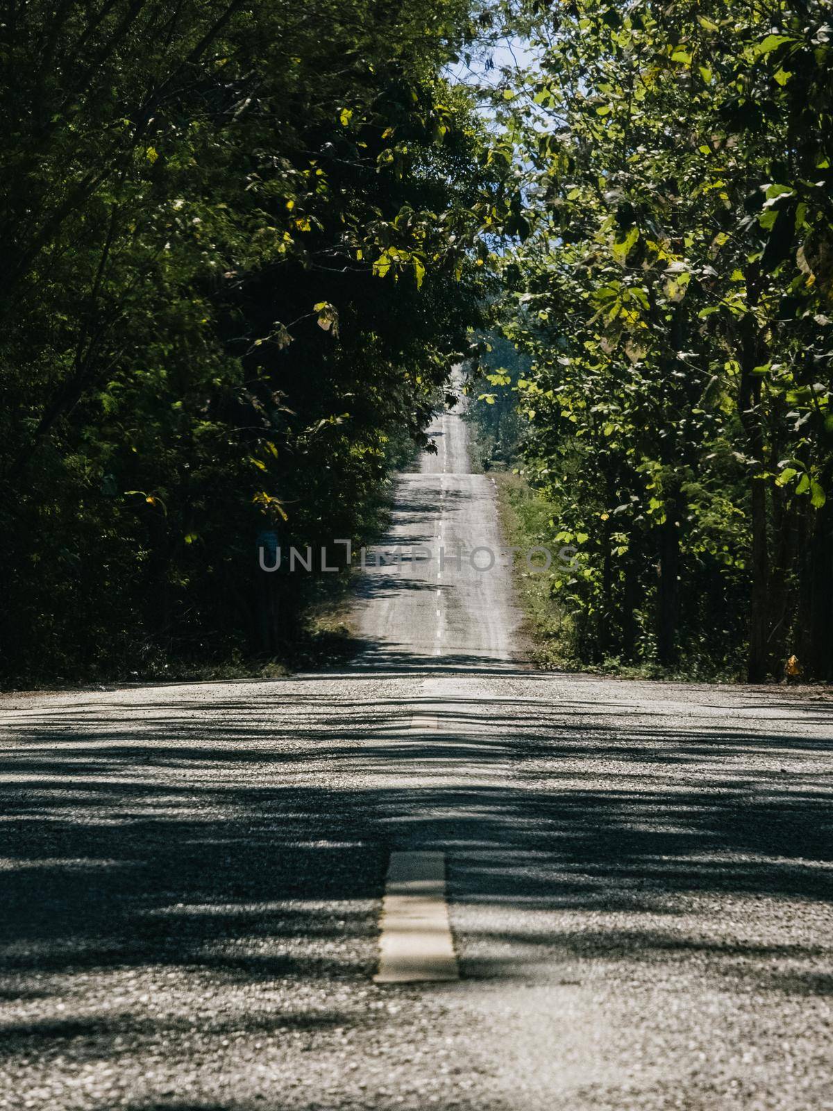 Forest road on a warm summer day in Mae Ping National Park, Thailand. by TEERASAK