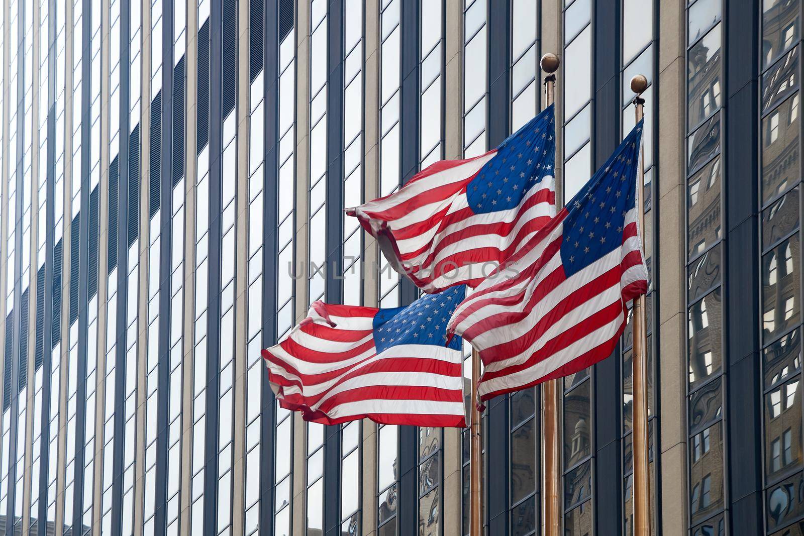 Flags of the United States waving in the wind in New York