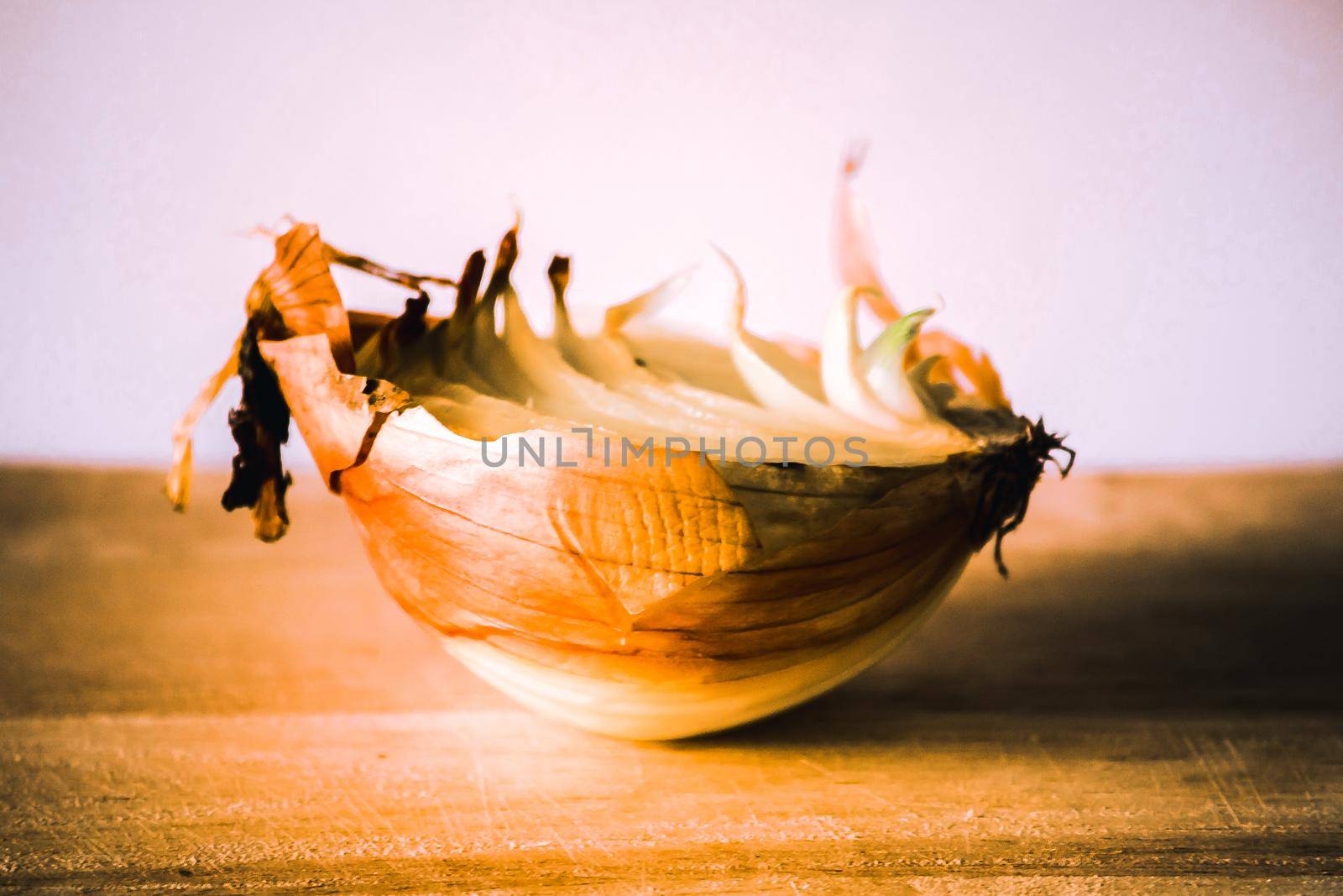 Onion halves on a piece of wood, Onion rot, Onion grows.