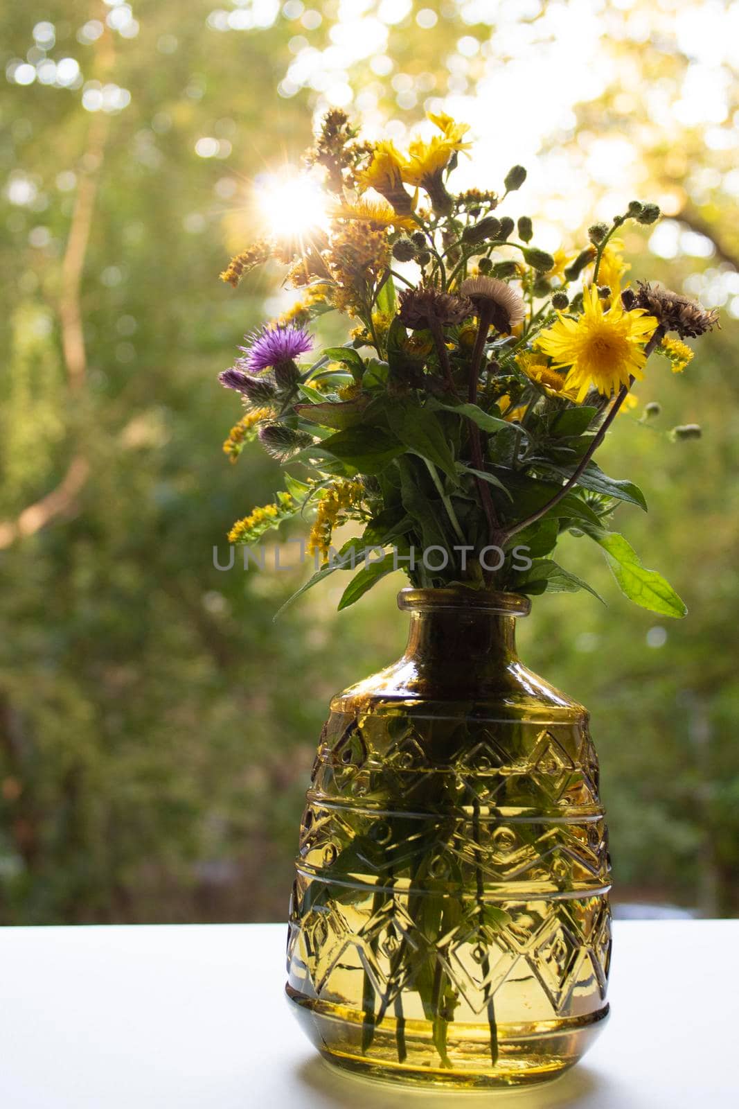 Bouquet of wild flowers in a transparent glass vase. Sunny day. Home interior. Thistles, dandelions and dried flowers. Beautiful wallpaper for your desktop.