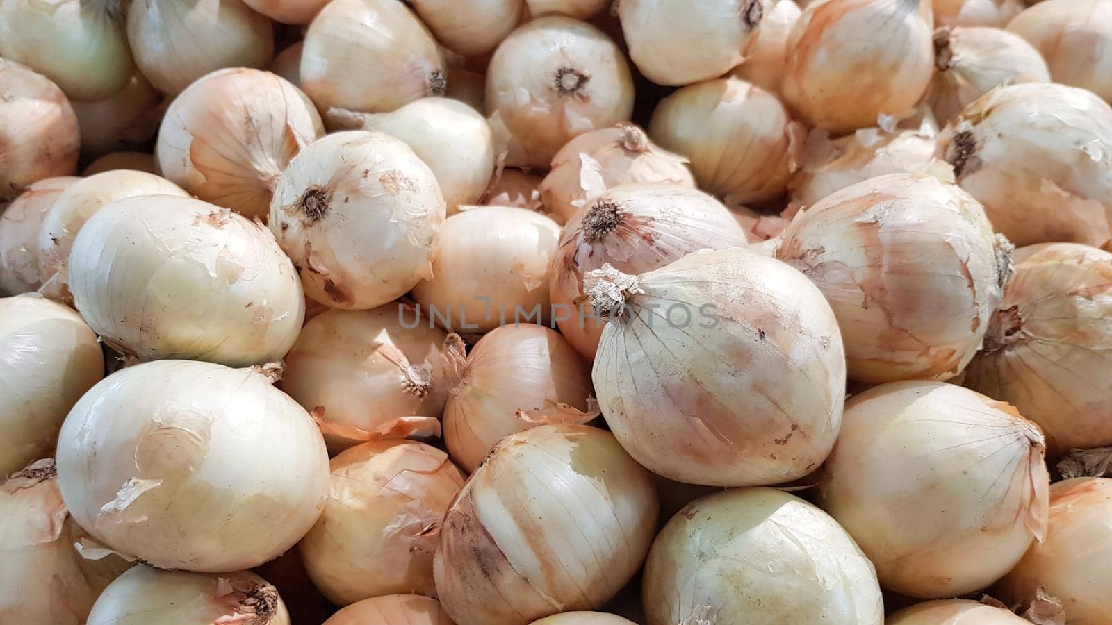 A large number of onions are placed on shelves for sale in a department store in Thailand.