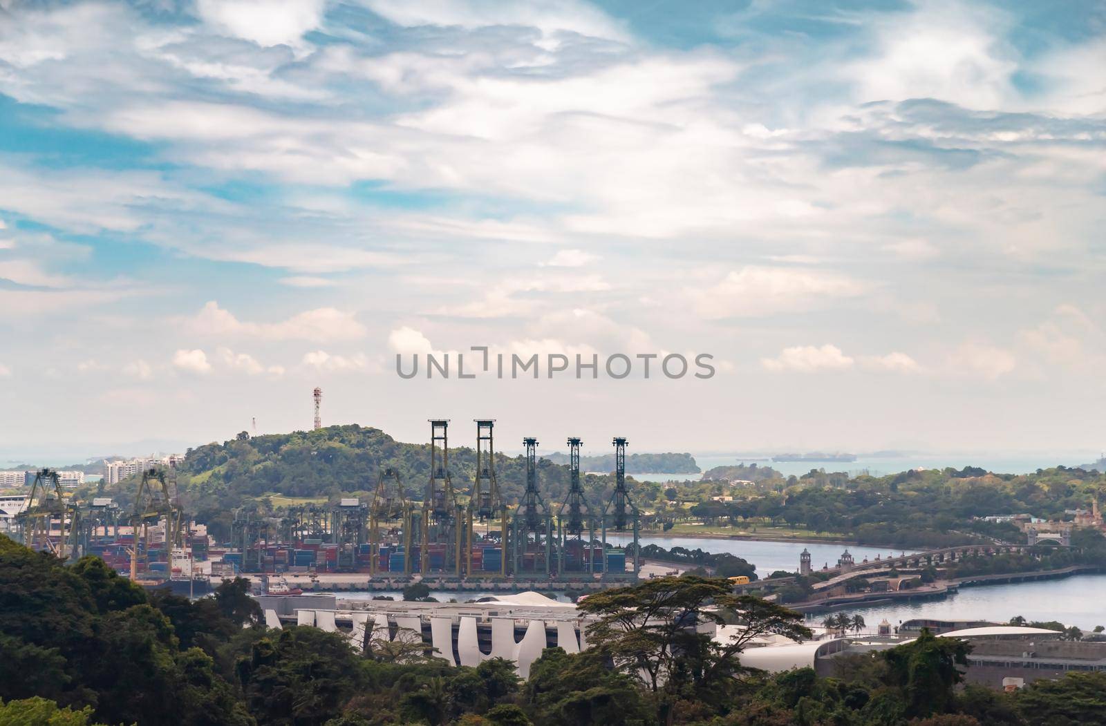 The huge busiest logistic port in Singapore, plenty of cranes to move containers, huge cargo ships in the background, skyscrapers on background. High quality photo
