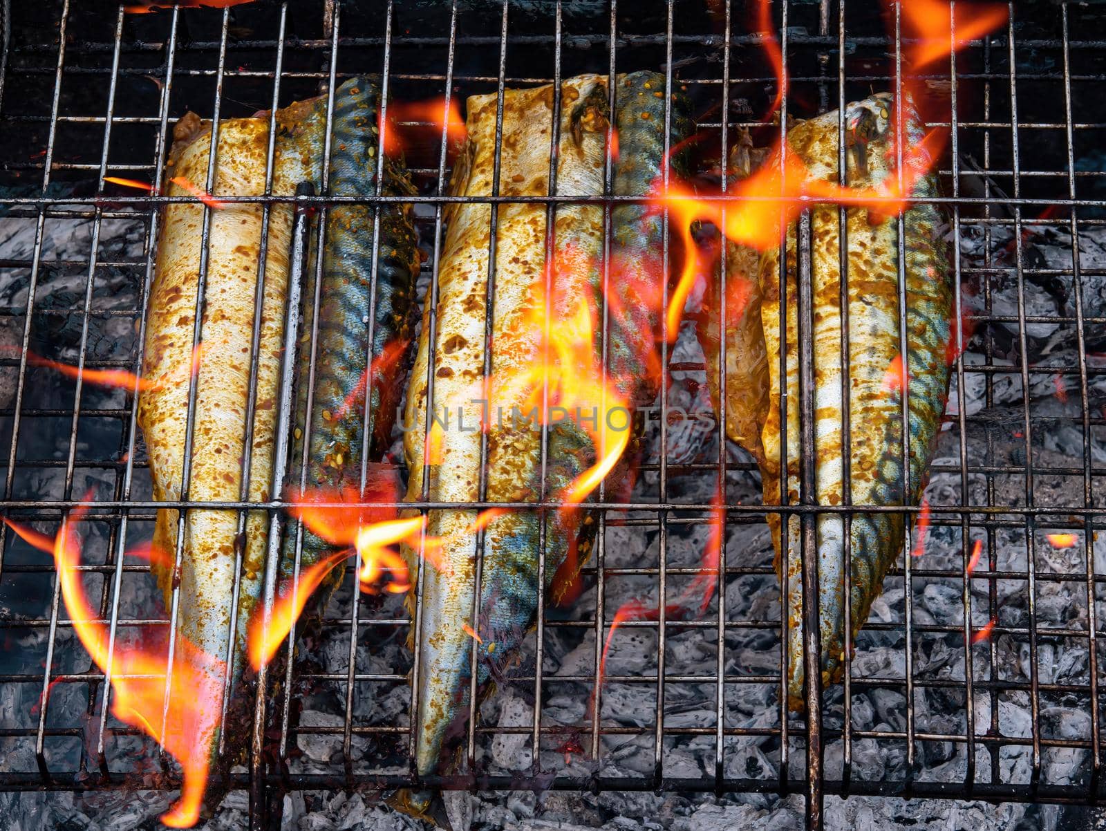 Mackerel fish is baked on a metal grill in a flame of fire. Mackerel fish. Barbecue cooking. Grill metal grate. The flame of a bonfire fire. Seafood food. Fishing trophy. Fisherman's cuisine.