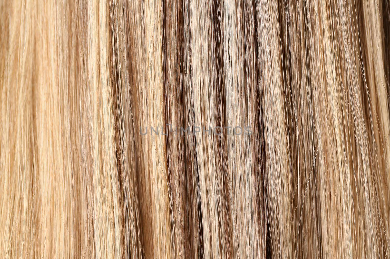 Female hair after highlighting procedure in beauty salon, shiny shades of blonde by kuprevich