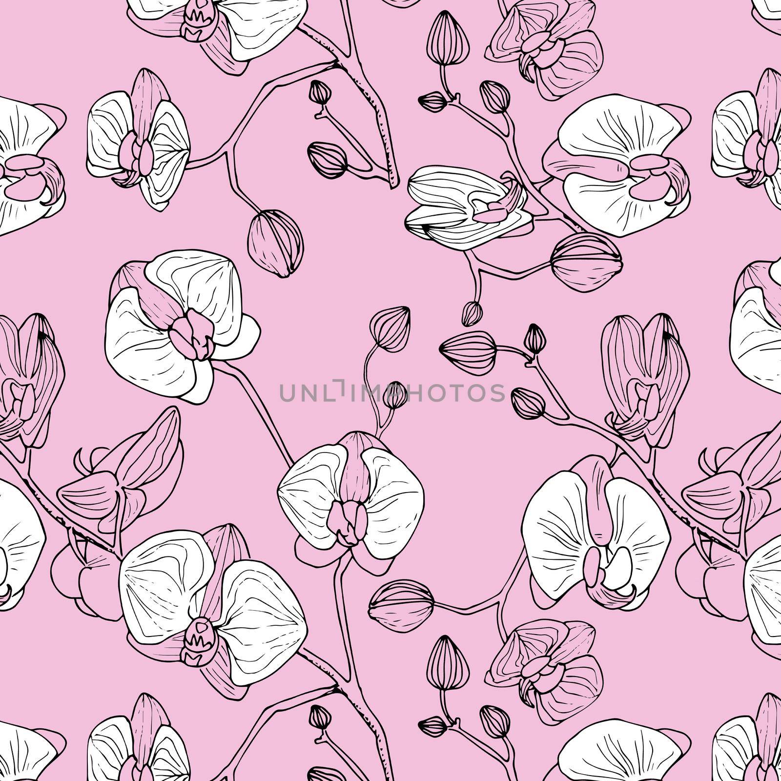 Orchids seamless pattern. illustration on a pink background