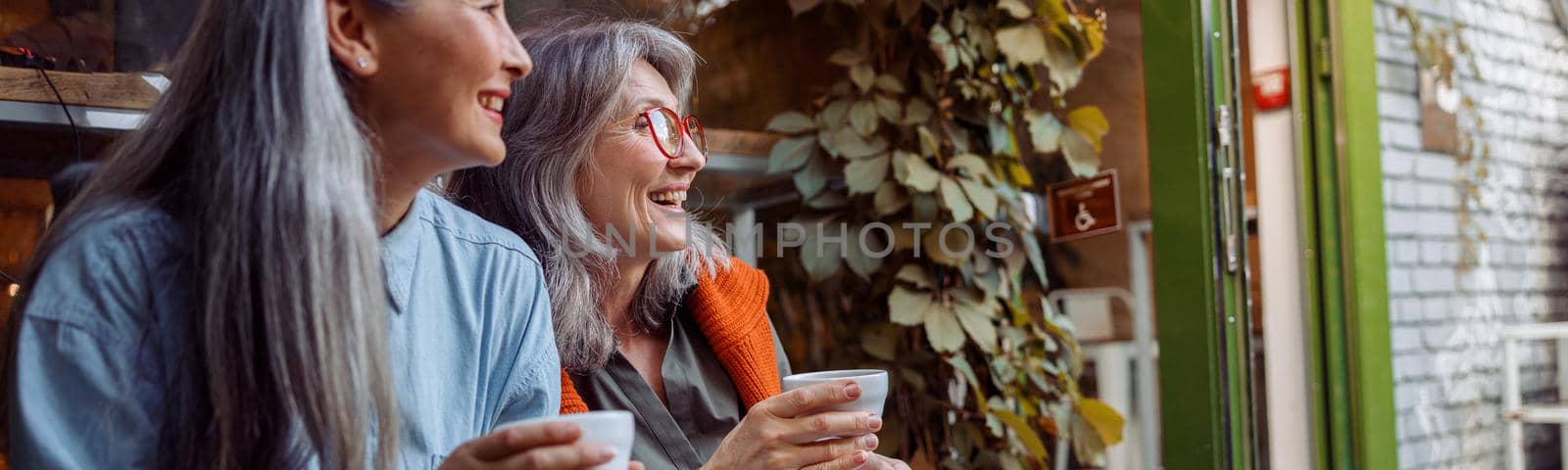 Positive mature women companions with cups of drinks sit on bench near window of cafe with green ivy branch. Long-time friendship