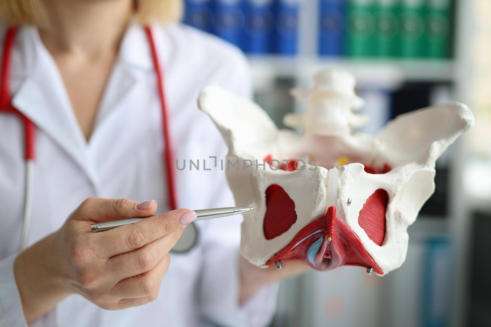 Doctor traumatologist demonstrating bones of pelvis to students in clinic closeup by kuprevich