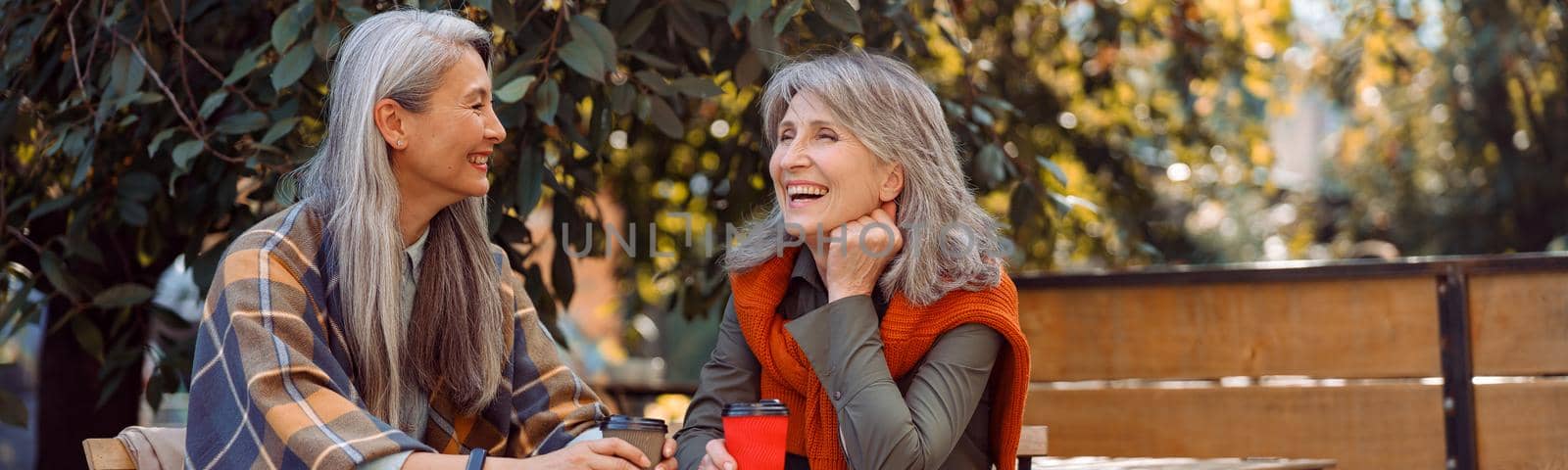 Mature Asian lady with positive grey haired friend spend time together in street cafe by Yaroslav_astakhov