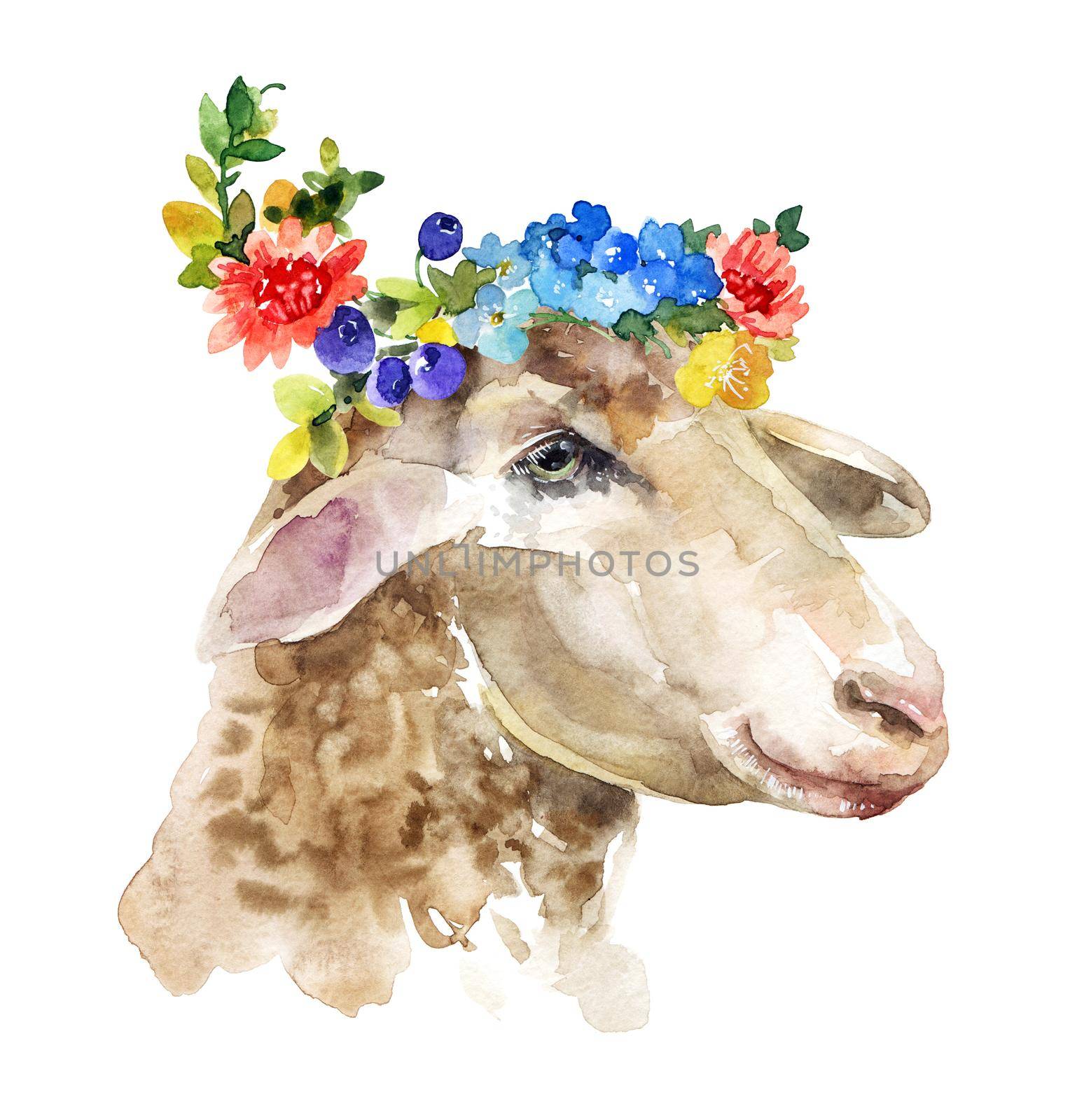 Watercolor illustration of sheep portrait with flowers wreath on the head