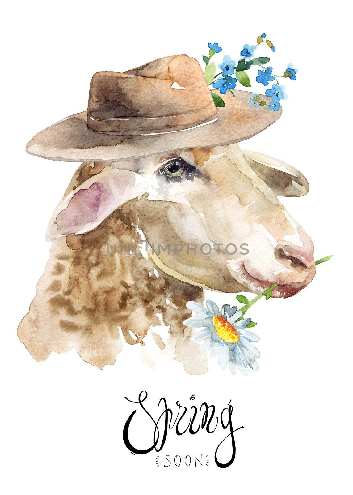 Watercolor illustration of sheep portrait with hat and flowers on the hat and flower in a mouth. Greeting card with text area and calligraphy lettering "Spring soon"