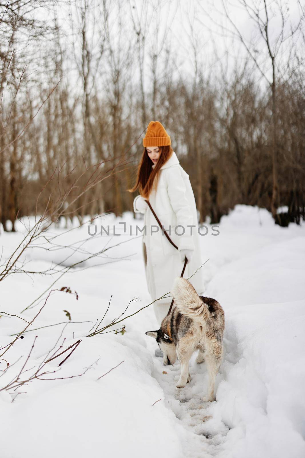 young woman in the snow playing with a dog outdoors friendship winter holidays by SHOTPRIME