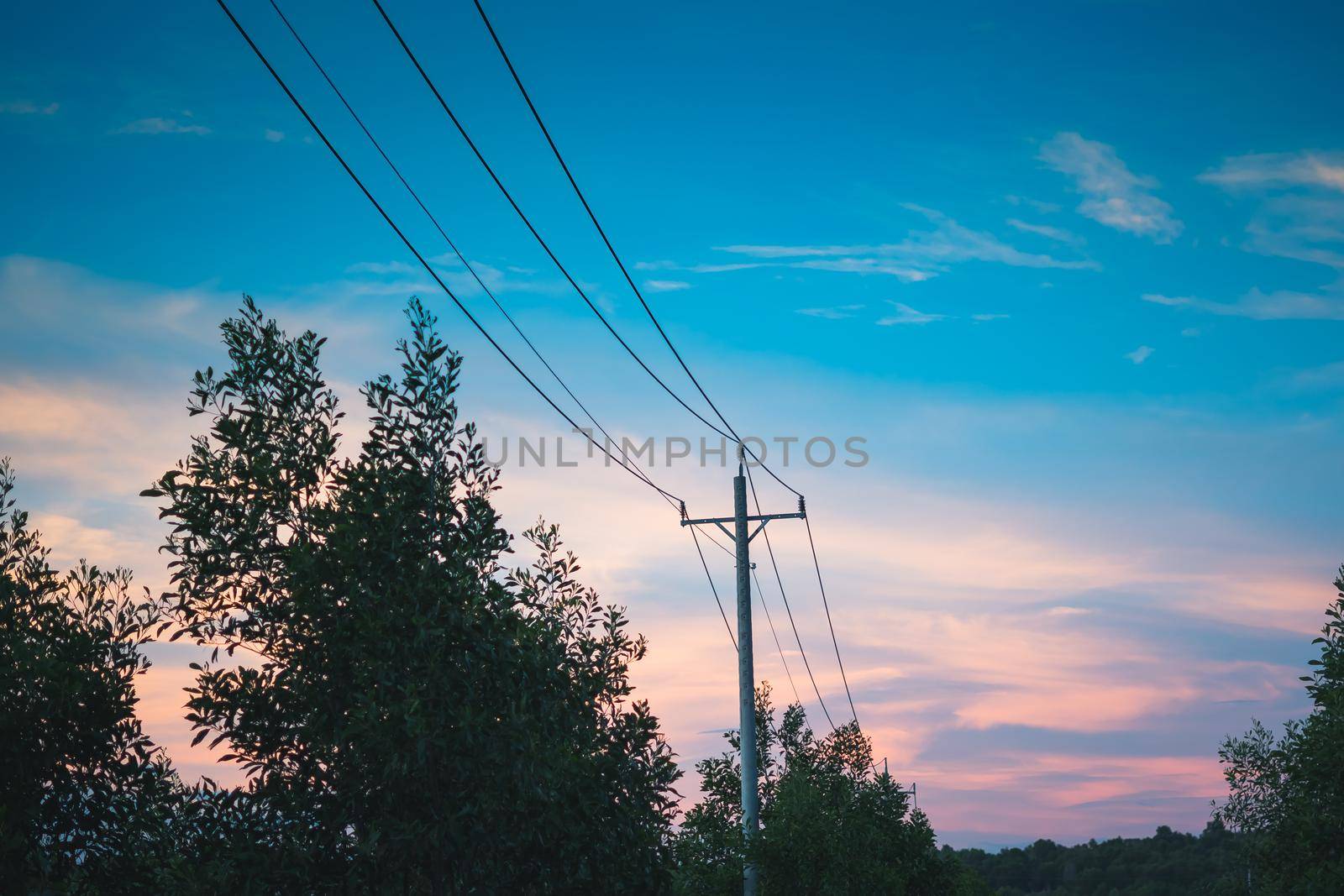 High voltage power pylon transmission huge metal concrete pole of overhead power line energy electric wires outdoor. Industrial Technology and nature in harmony. Sunset evening sky forest background.