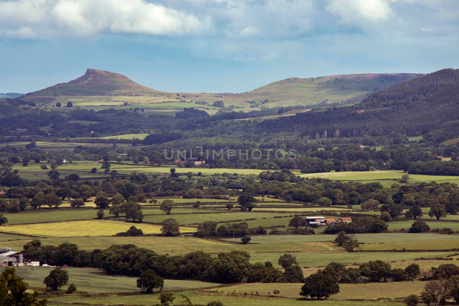 Beautiful shot over green and yellow agricultural fields and trees in North Yorkshire Moors National Park, with sunlight and cloud shadows rolling across on a bridge summer day.