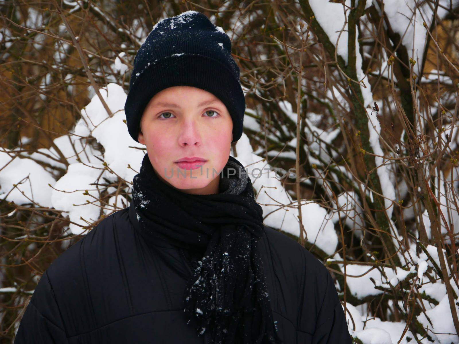 A cute boy of 13-16 years old in a black hat against the background of branches in the snow looks at the camera.