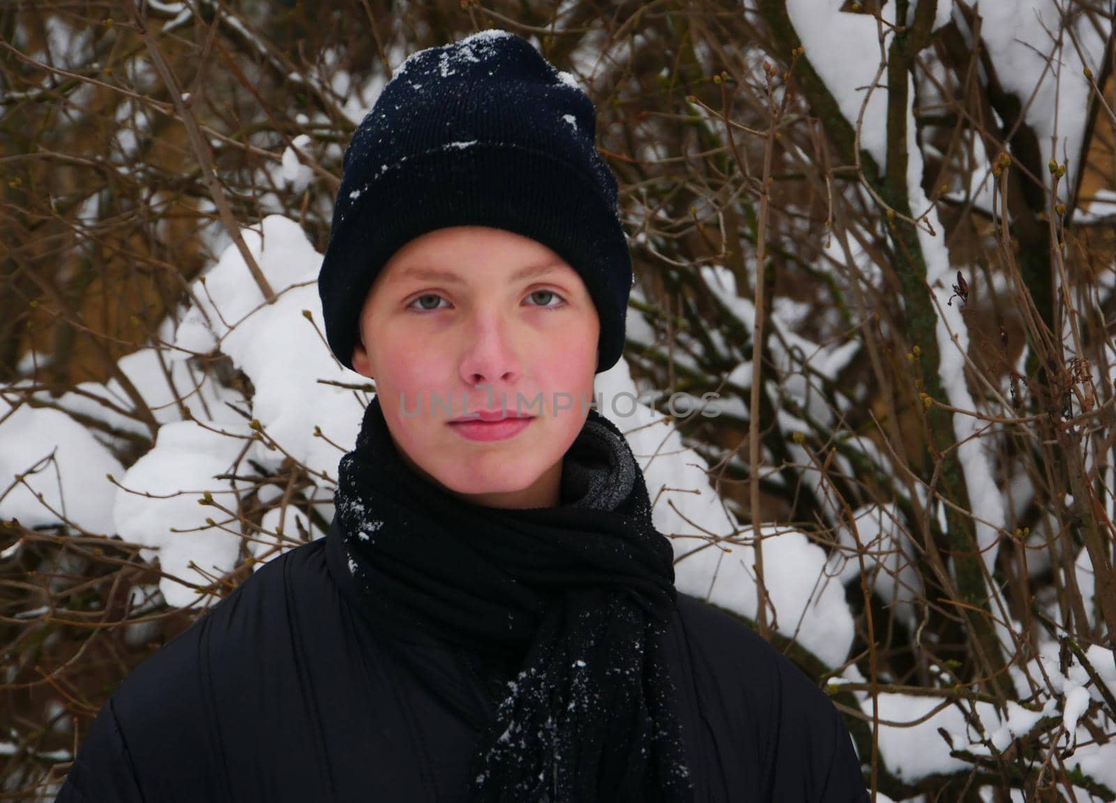 Image of a cute positive teenager boy in a black hat, scarf, jacket against the background of branches in the snow.