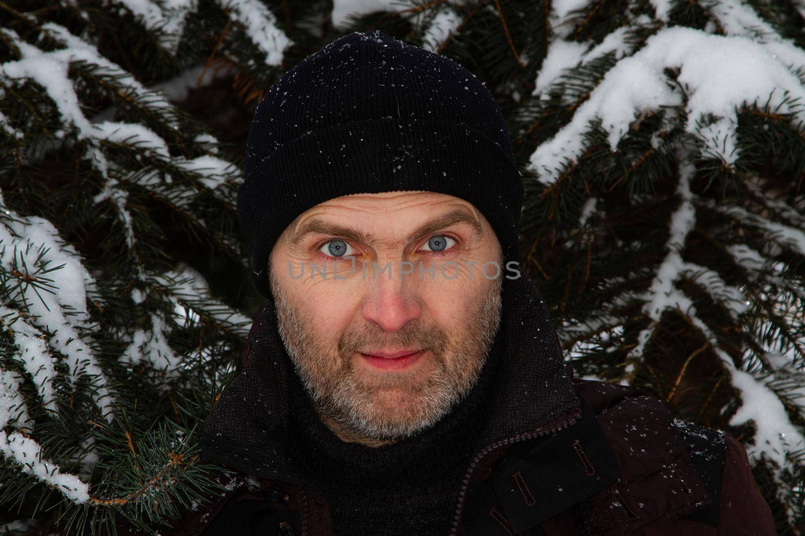 Portrait of a handsome traveling man wearing a black knitted hat against a background of snow-covered spruce branches by gelog67