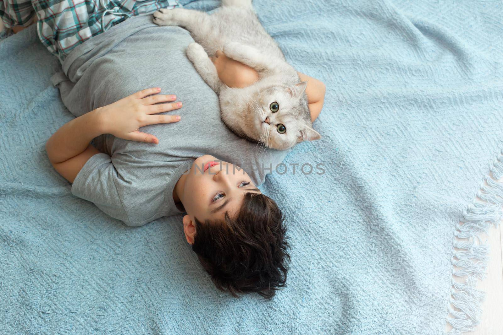 A boy lie on a knitted blue plaid, with a beautiful white cat, smile by Zakharova
