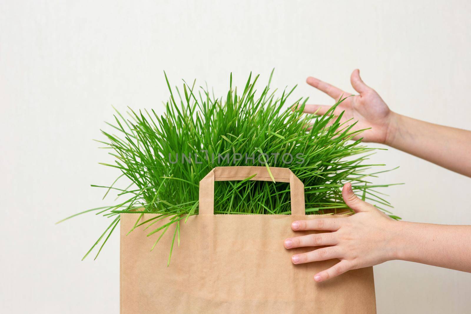 A hands of little kid holding a paper bag of green grass. Close up. Mock up. Copy space