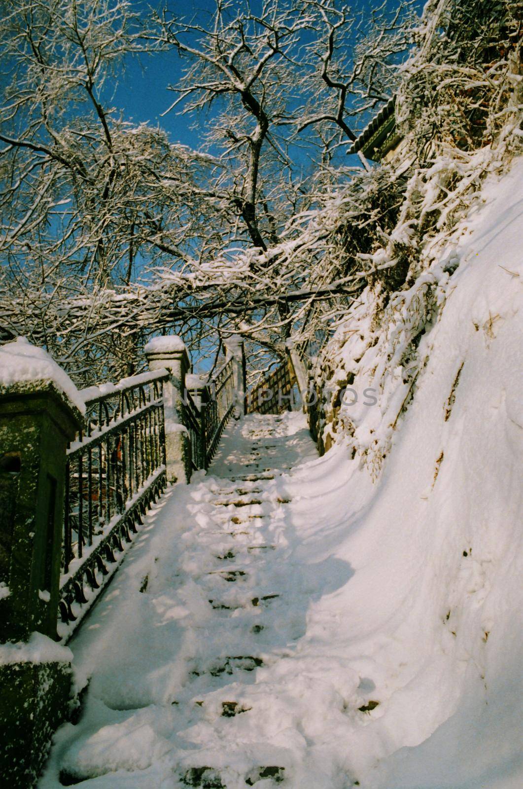 An ascending staircase against the background of a blue sky and snow-covered tree branches, shadows from branches on the snow.