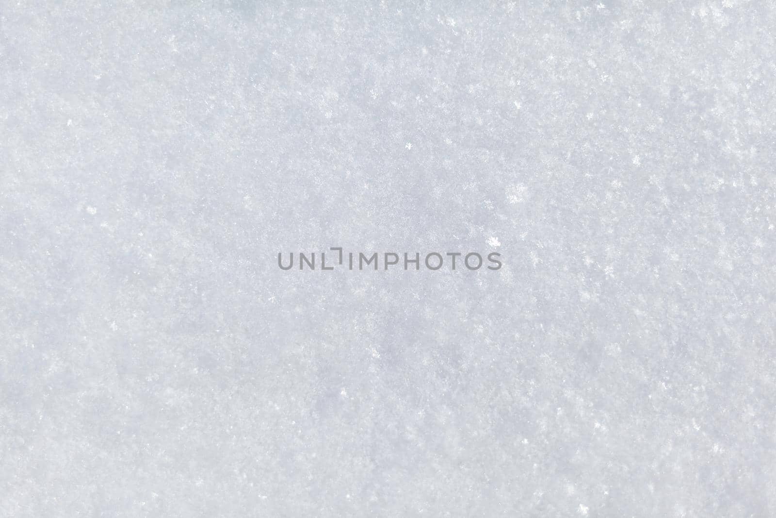 Clean, white snow close-up. Winter background. Snow surface. Fresh fluffy white snow texture.White snowflakes. High quality photo