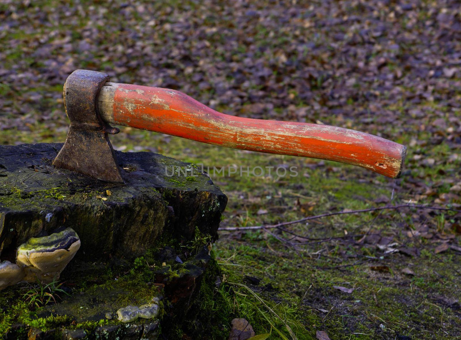 An old red axe with a red handle stuck in a stump.