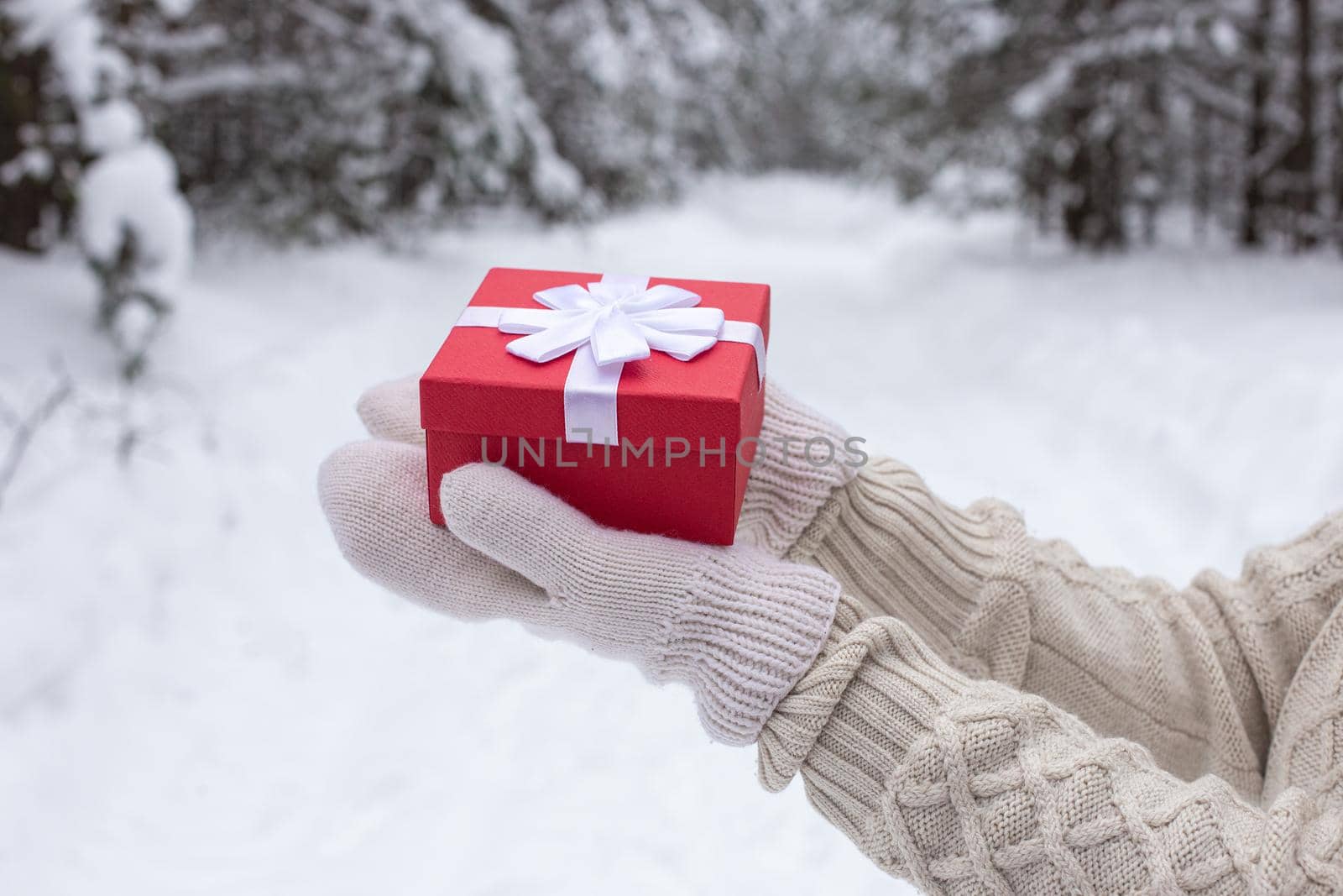 The girl's hands in white mittens and a white sweater are holding a red gift box against the background of a winter forest. Close-up