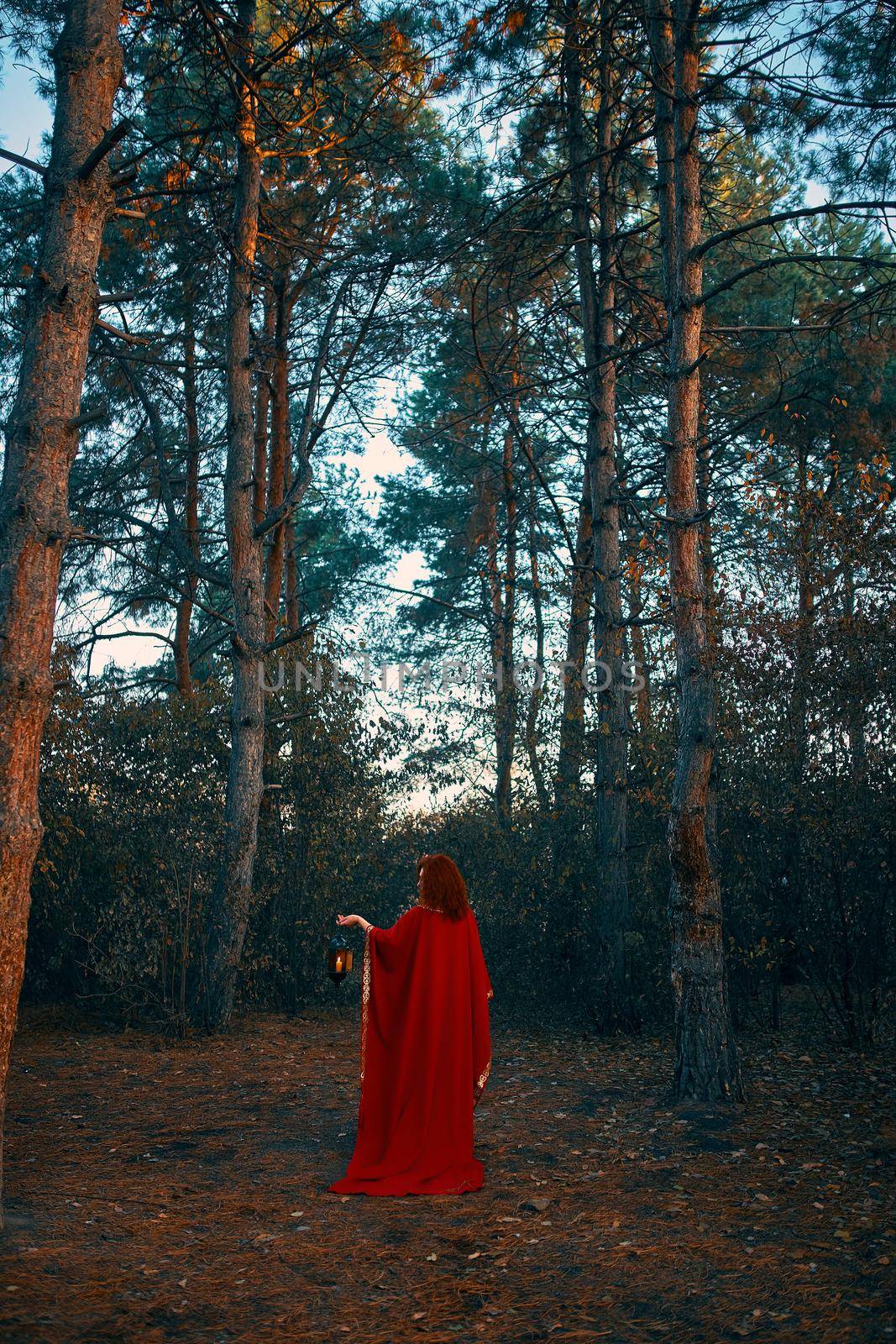 The candle burns inside the lantern which is in the hands of a woman with red mantle in the forest. Halloween concept