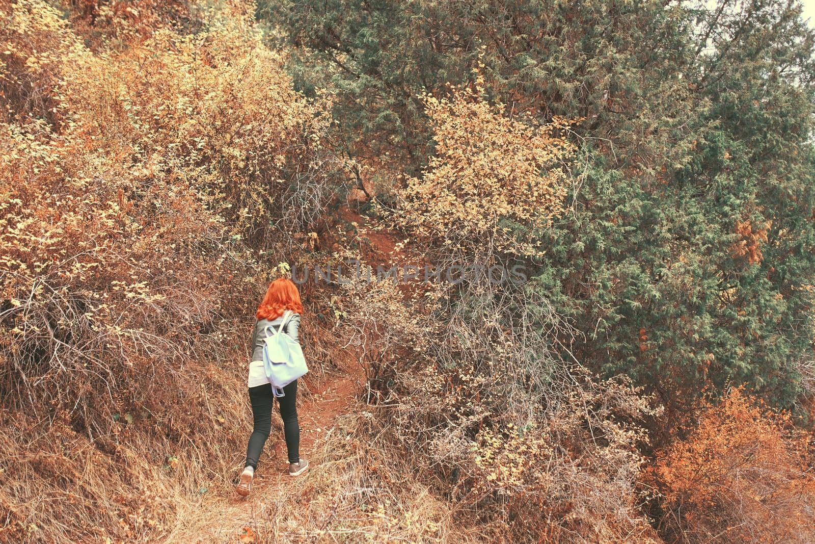 Red-haired woman with a backpack walks along a path in the forest in the mountains. Autumn mountain landscape. A trip to nature. Young woman on vacation.