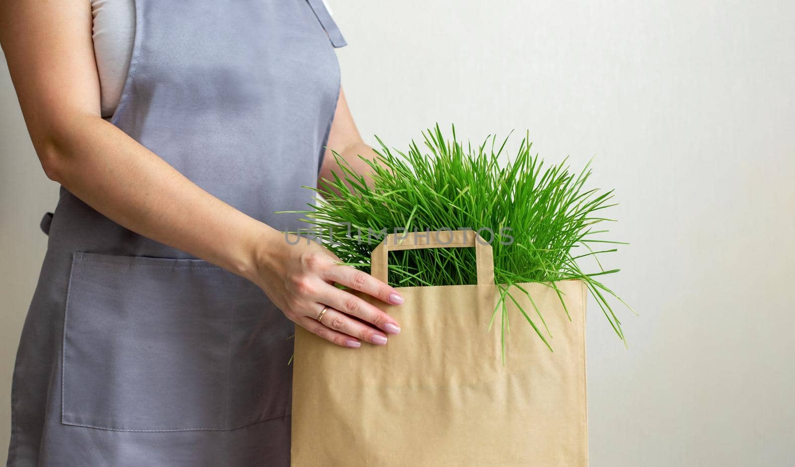 A body of woman in a gray apron holding a paper bag of green grass. Mock up. Copy space
