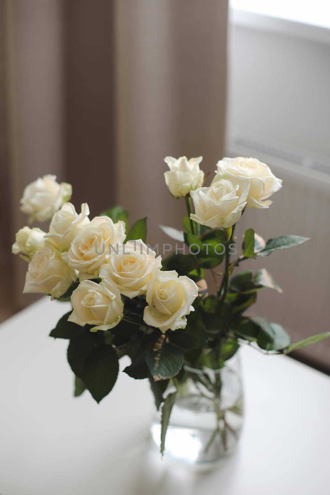 White rose bouquet in a cozy home interior. Floral spring background by paralisart