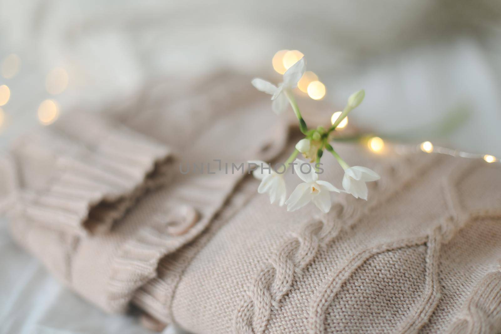 Knitted beige sweater and delicate spring flowers. Winter and spring fashion concept