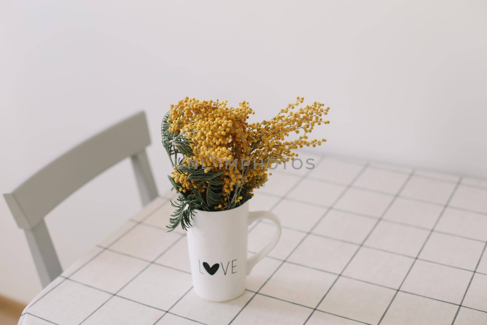 Mimosa in a vase on the table by paralisart