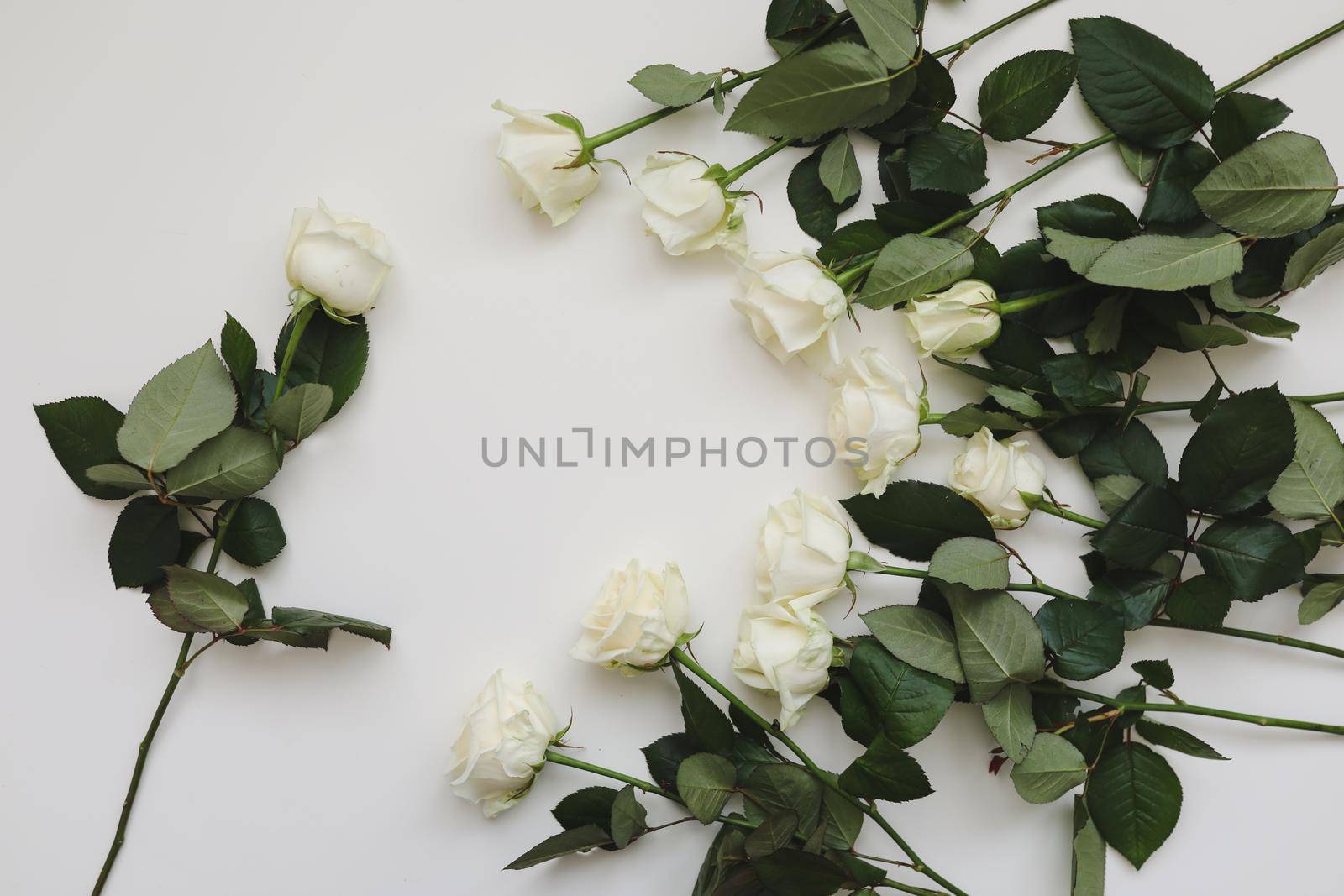 Elegant floral composition with white roses and place for text on white background. Top view