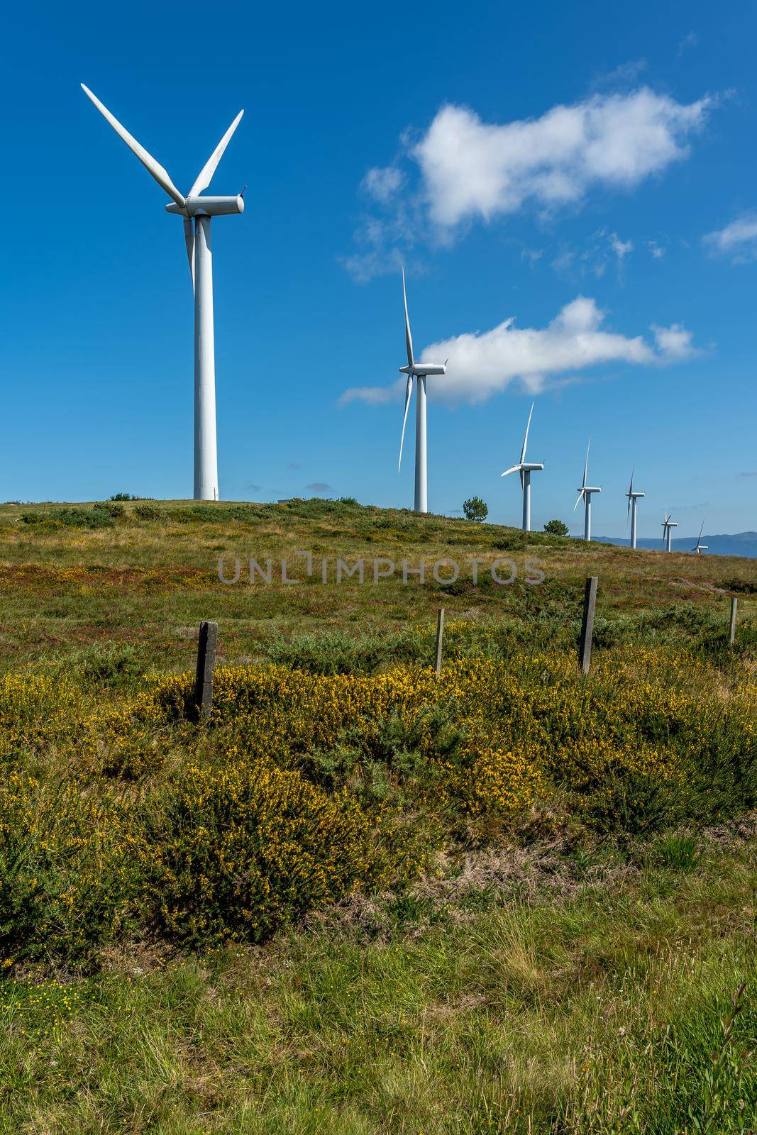 View of wind turbines energy production near the Atlantic Ocean in Galicia, Spain.