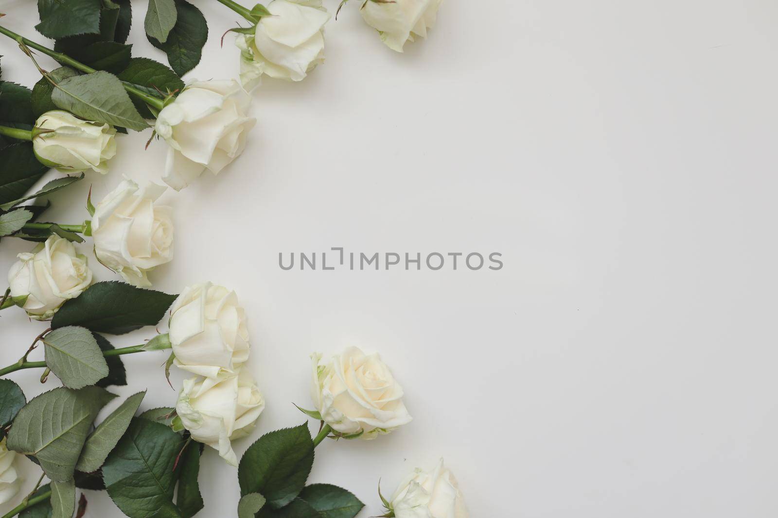 Elegant floral frame made of white roses and place for text on white background by paralisart