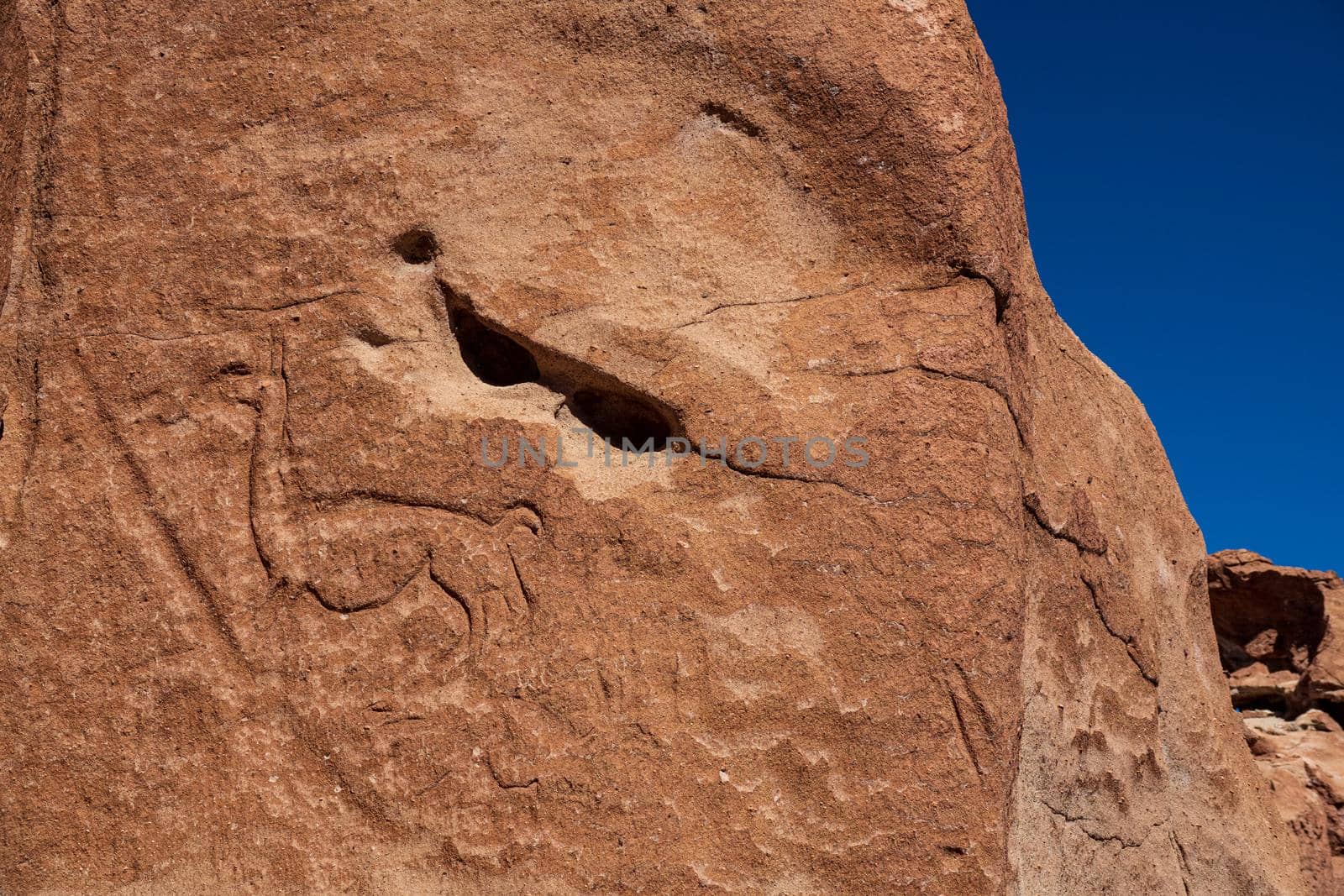 Details of Petroglyphs at Yerbas Buenas, Atacama, Chile