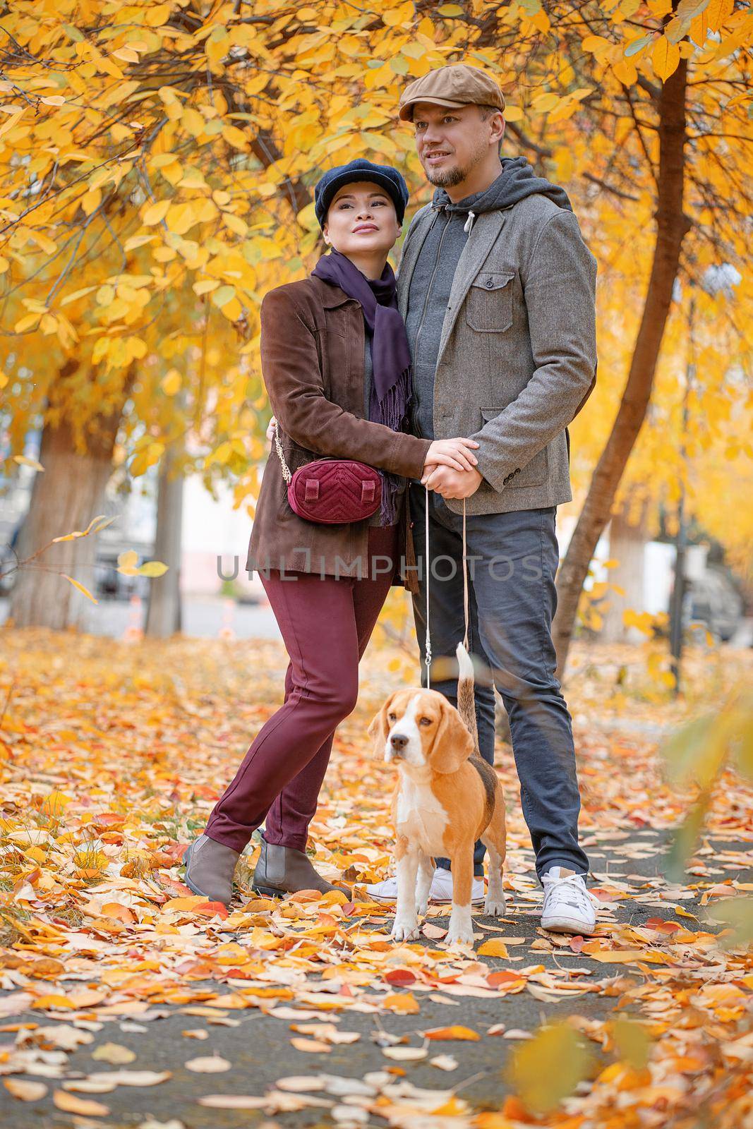 Stylish Pair About 40 Years Old on a Walk in the Fall Park With Their Dog Bigley. They Are Walking the Pooch in the Autumn Morning. Autumn park background. Full-length. High quality photo