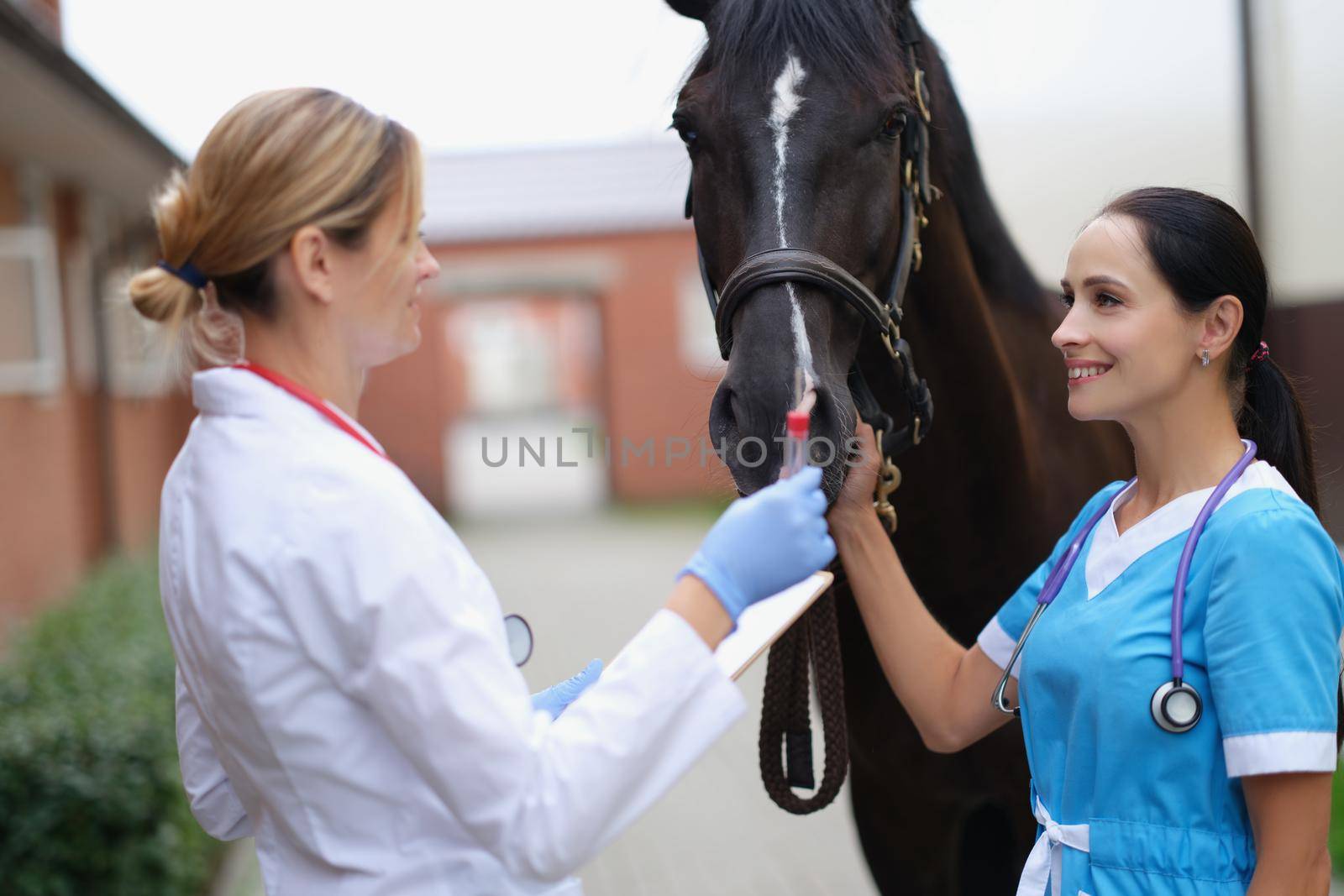 Women veterinarians holding test tube with analysis near horse. Laboratory diagnosis of pet diseases concept