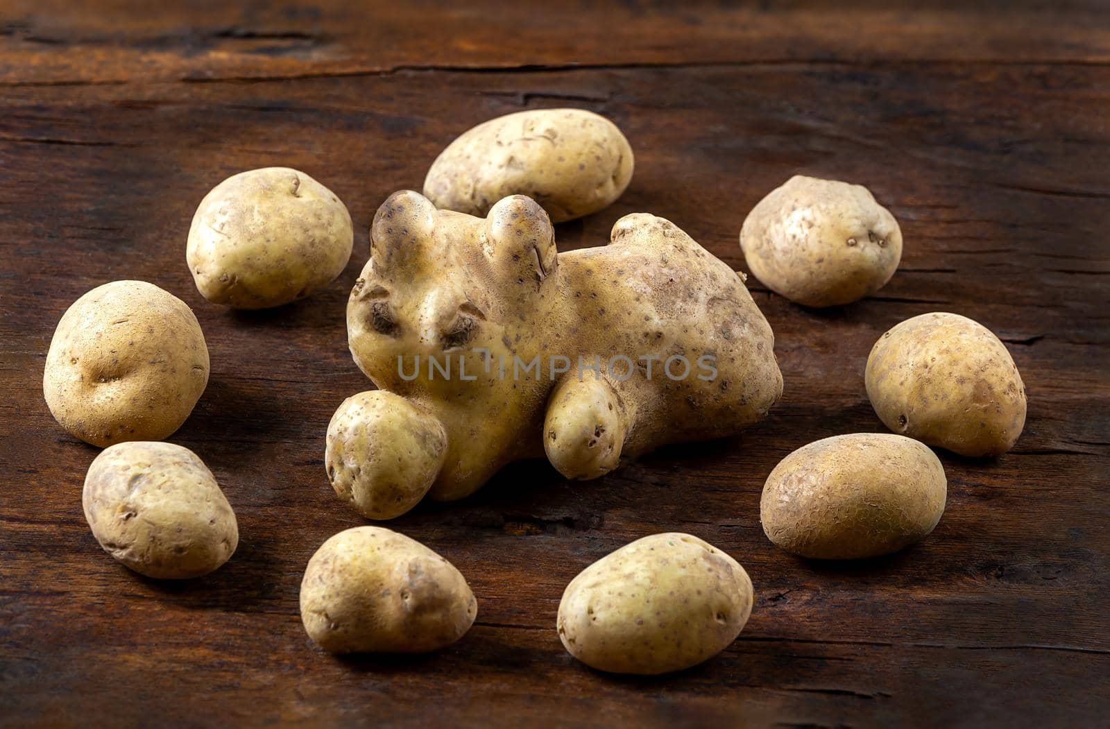 Ungraded organic potatoes ON A WOODEN BACKGROUND by JPC-PROD