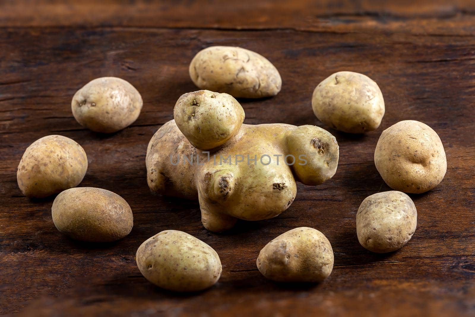 Ungraded organic potatoes ON A WOODEN BACKGROUND by JPC-PROD