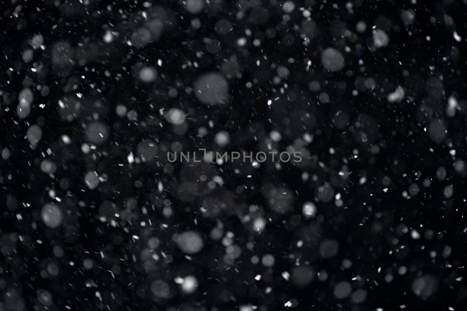 Snowfall on black background. Snowfall in the night sky, real snowflakes fall in the night by EvgeniyQW